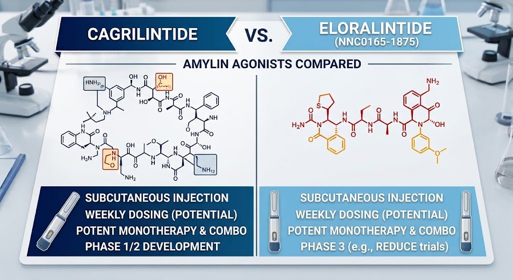Eloralintide vs Cagrilintide: Amylin Agonists Compared